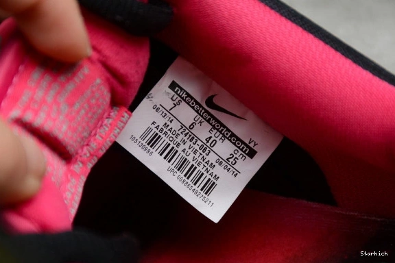 SB "Northern Lights"724183-063 Premier Dunk Low Nike 0203